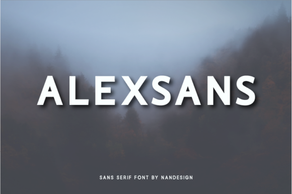 Alexsans: The Simple Typeface That Polished My Brand