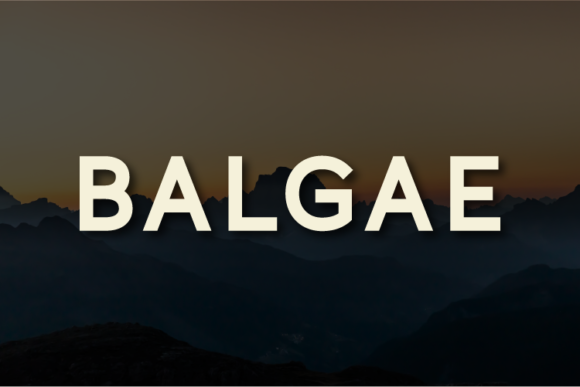 Balgae Font Review: A Modern Sans Serif for Web Design