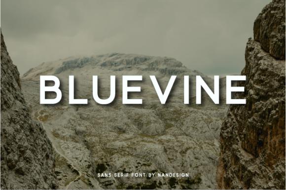Bluevine Font Review: A Trendy Sans Serif for Web Design