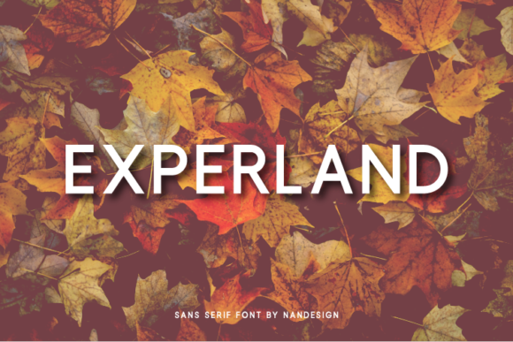Experland: The Sans Serif Font That Elevates Campaign Design