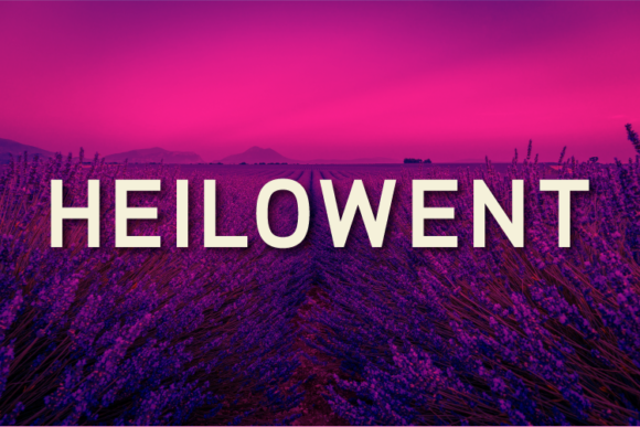 Heilowent: A Clean Sans Serif Font for Editorial Design