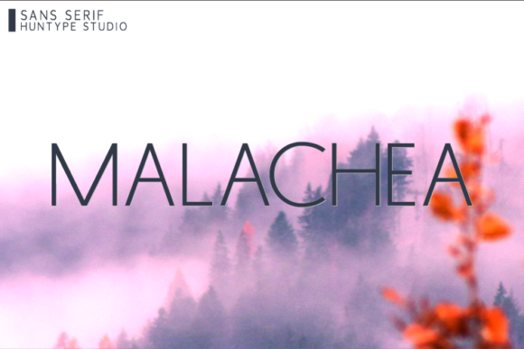 Malachea: The Wide Sans Serif Font for Polished Branding