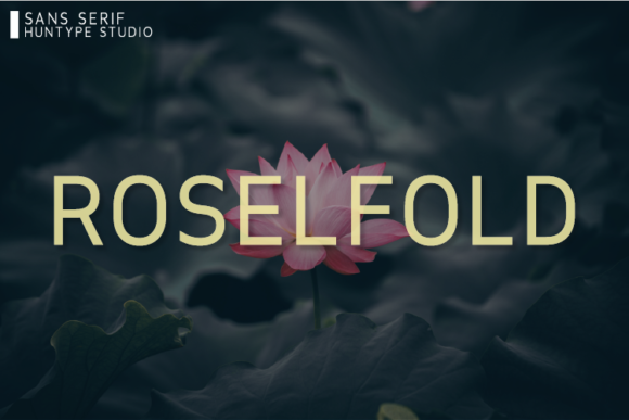 Roselfold: The Minimal Typeface That Polishes Small Business Brands